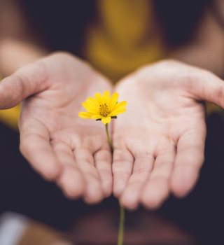 Professional & Trust-Building 1